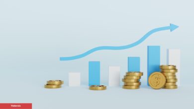 Ünlü İsim, Bu Altcoin İçin ‘3x’ Bekliyor: Bu Düzeyleri Göreceğine Bahse Giriyor!