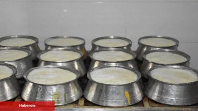 Üstün besin manda sütü! Neden herkes tüketmeli? - Haberois Üstün besin manda sütü! Neden herkes tüketmeli?