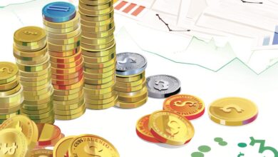 Uzman: Bitcoin Düşerken Balinalar O Altcoinleri Biriktiriyor!