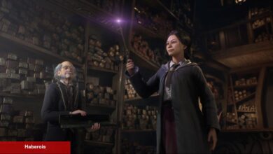 Warner Bros: Hogwarts Legacy'nin Devamı Önceliğimiz - Haberois Warner Bros: Hogwarts Legacy'nin Devamı Önceliğimiz