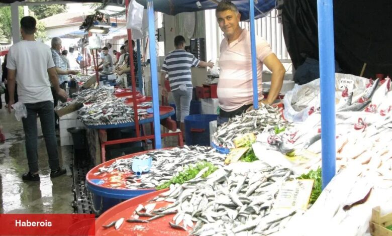 Yenişehir’de balıkçı tezgâhları şenlendi - Haberois Yenişehir’de balıkçı tezgâhları şenlendi