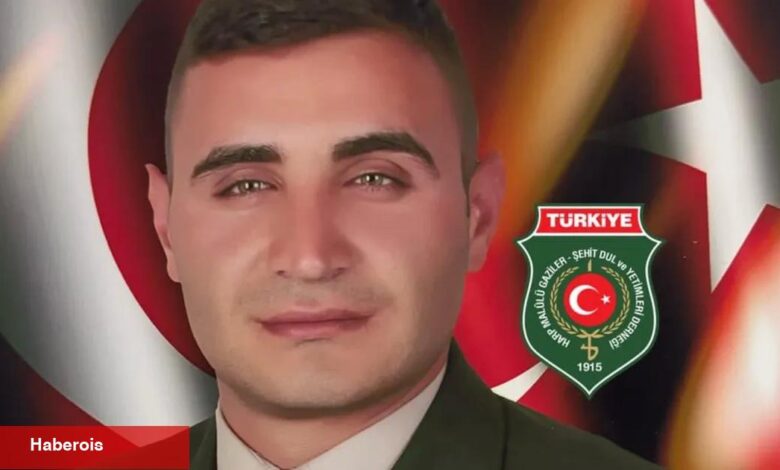 Zeytin Dalı'ndan acı haber! - Haberois Zeytin Dalı'ndan acı haber!