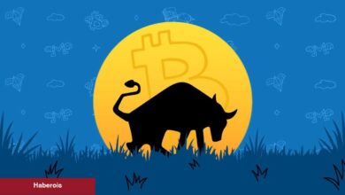 Ayı Dönemini Bilen Ünlü Analist Boğa Dönemi İçin Tarih Verdi! - Haberois Ayı Dönemini Bilen Ünlü Analist Boğa Dönemi İçin Tarih Verdi!