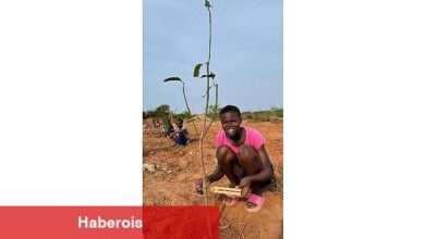 Bağcılar Belediyesi, Afrika'da yetimler için meyve bahçesi oluşturdu - Haberois Bağcılar Belediyesi, Afrika'da yetimler için meyve bahçesi oluşturdu