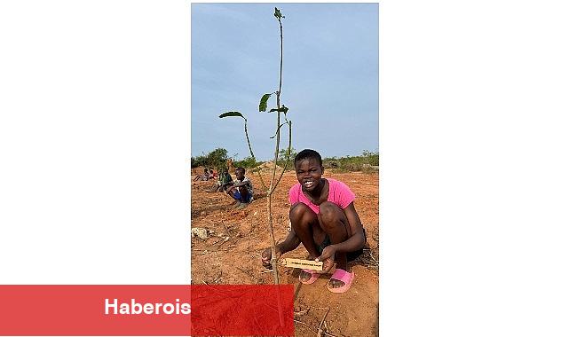 Bağcılar Belediyesi, Afrika'da yetimler için meyve bahçesi oluşturdu