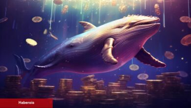 Bu 3 Altcoin Her An Patlama Yapabilir! Balinalar Kimse Fark Etmeden Yüklü Alımlar Yapıyor