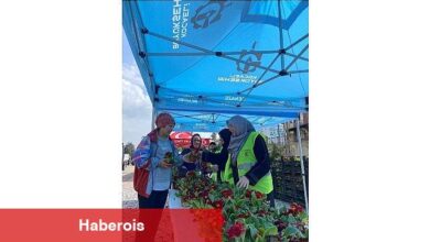 Büyükşehir, mezarlık ziyaretlerini çiçeklerle renklendirdi - Haberois Büyükşehir, mezarlık ziyaretlerini çiçeklerle renklendirdi