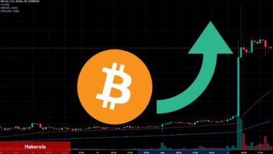 Deneyimli Analist: ABD’nin Gümrük Vergileri Bitcoin’in Yükselişini Durduramaz!