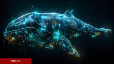 Dev Balina Binance’den O Göğüs Coin’i Topluyor: Bu Düzeyler Bekleniyor!