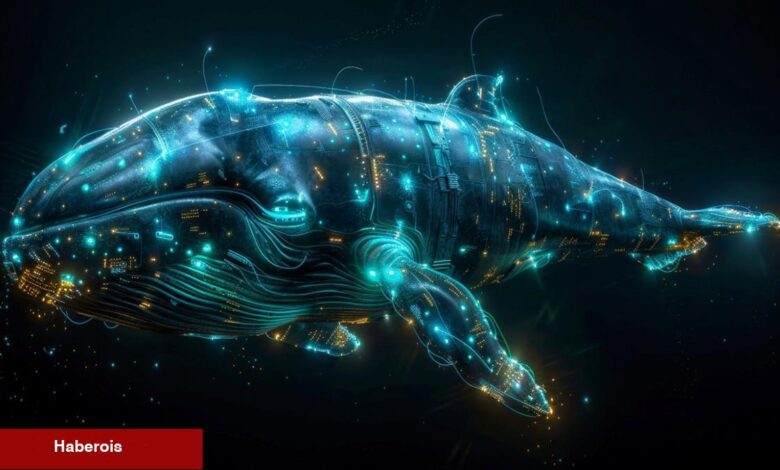 Dev Balina Binance’den O Göğüs Coin’i Topluyor: Bu Düzeyler Bekleniyor! - Haberois Dev Balina Binance’den O Göğüs Coin’i Topluyor: Bu Düzeyler Bekleniyor!