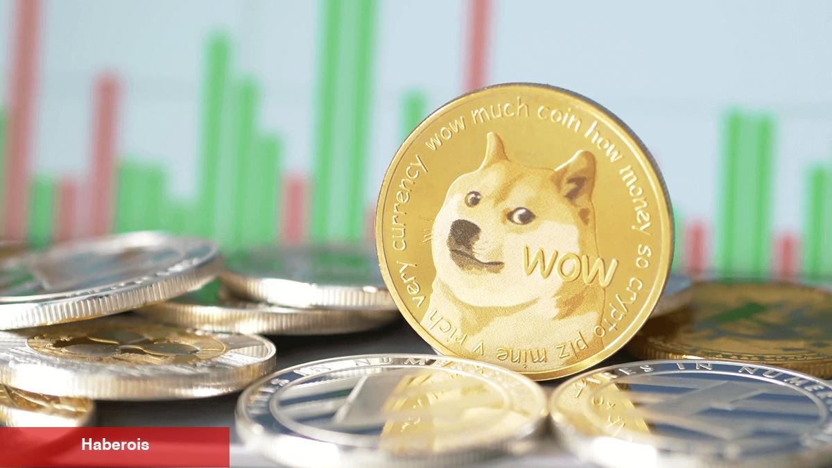 DOGE için Döngü Gayesi Açıklandı: Yeni Bir Tepe mi? - Haberois DOGE için Döngü Gayesi Açıklandı: Yeni Bir Tepe mi?