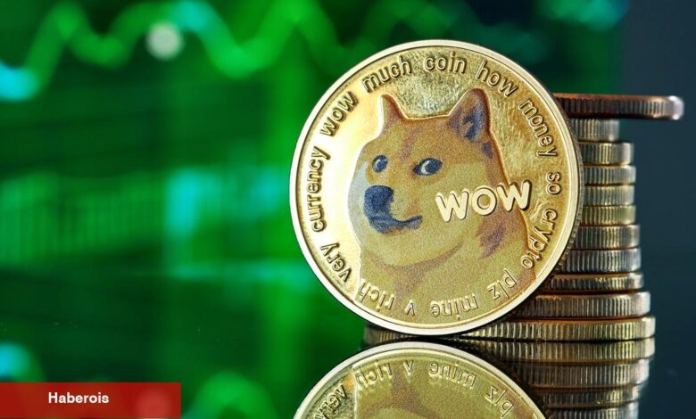 DOGE için Döngü Gayesi Açıklandı: Yeni Bir Tepe mi?