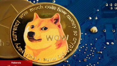 DOGE Yatırımcıları Endişeli! Toparlanma Potansiyeli Var mı?