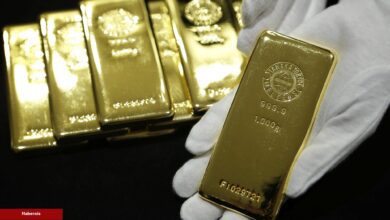 Ekonomistten Rekor Varsayım: Altın Fiyatları Bu Düzeyleri Görmeli!