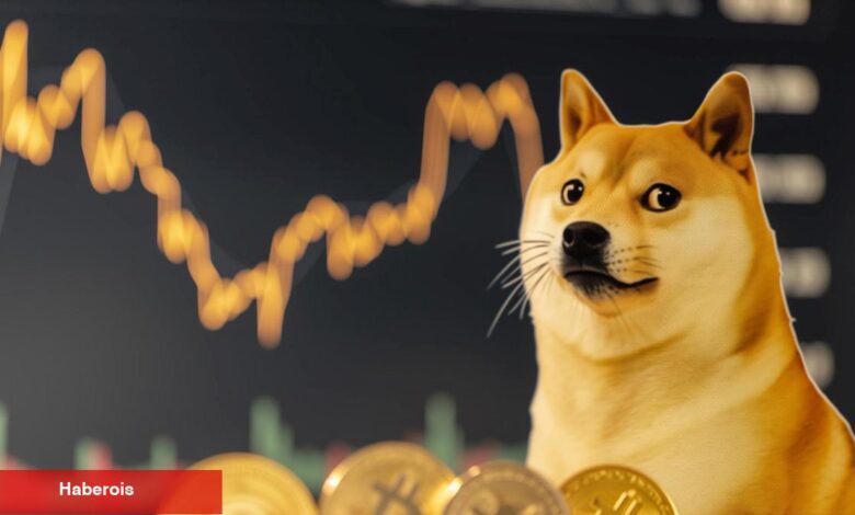 Elon Musk’tan Dogecoin Açıklaması: Resmi Planlar Yok - Haberois Elon Musk’tan Dogecoin Açıklaması: Resmi Planlar Yok