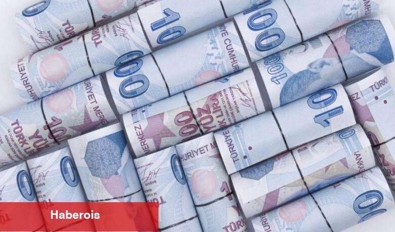 Hazine 791,2 milyar liralık iç borçlanma planlıyor - Haberois Hazine 791,2 milyar liralık iç borçlanma planlıyor