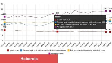 İşgücü İstatistikleri, Şubat 2025