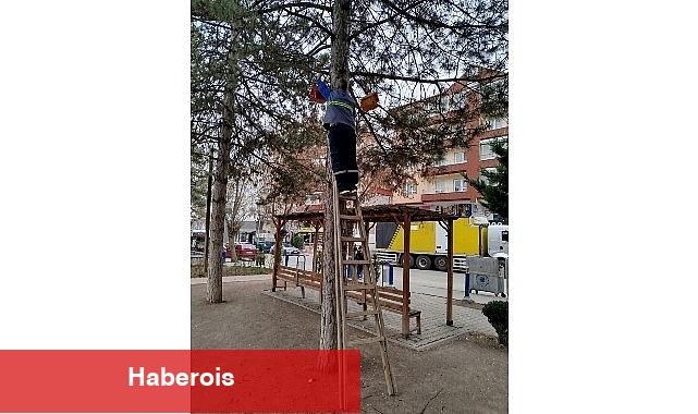 Kuşlara Yeni Yuvalar
