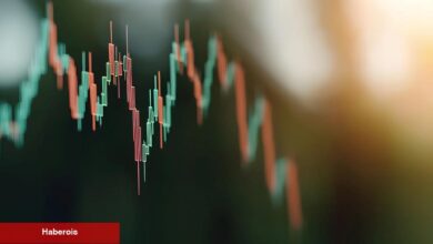 MELANIA Coin Krizi: Hayden Davis Yeniden Birebir Senaryo ile Gündemde