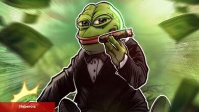 PEPE Balinaları Hareketlendi: Yüzde 60’lık Kaybın Telafisi Mümkün