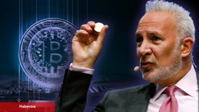 Peter Schiff, Bitcoin Yatırımcılarına Meydan Okudu: Bu Riske Var mısınız?