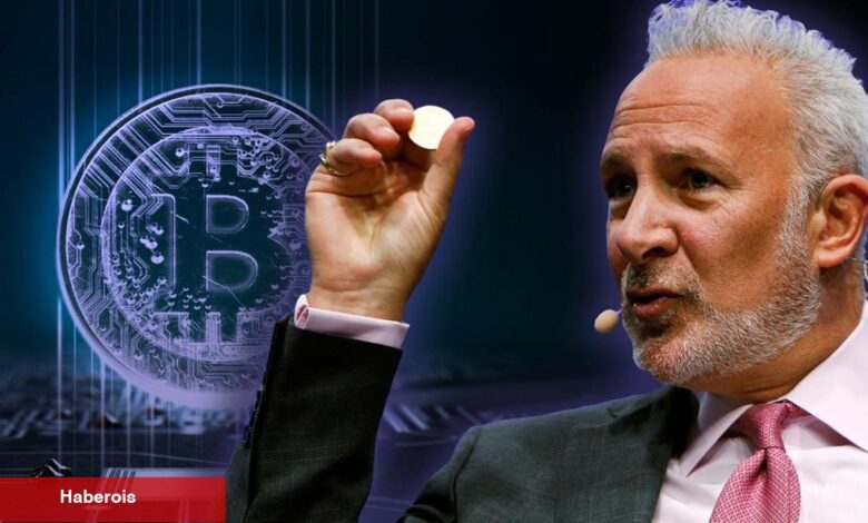 Peter Schiff, Bitcoin Yatırımcılarına Meydan Okudu: Bu Riske Var mısınız? - Haberois Peter Schiff, Bitcoin Yatırımcılarına Meydan Okudu: Bu Riske Var mısınız?