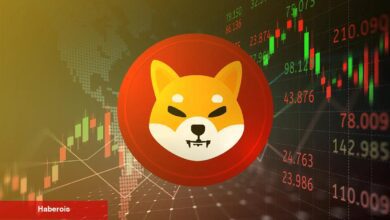Shiba Inu Fiyatında Büyük Sıçrama Beklentisi: Uzmanlar %415 Yükseliş Öngörüyor! - Haberois Shiba Inu Fiyatında Büyük Sıçrama Beklentisi: Uzmanlar %415 Yükseliş Öngörüyor!