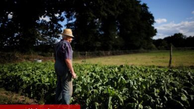 Tarım ve gıda dış ticaretinde açık büyüdü: İhracat geriledi, ithalat hızlandı - Haberois Tarım ve gıda dış ticaretinde açık büyüdü: İhracat geriledi, ithalat hızlandı