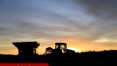 ABD’nin misilleme tarifeleri çiftçiler için ne anlama gelebilir?