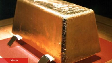 Altın Kâhini: Temmuz’dan Evvel Bu Düzeyleri Görebiliriz!