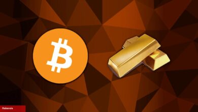 Altın Kurdu Can Sıktı: Bitcoin’in Gerçek Fiyatı 30 Bin Dolar! - Haberois Altın Kurdu Can Sıktı: Bitcoin’in Gerçek Fiyatı 30 Bin Dolar!