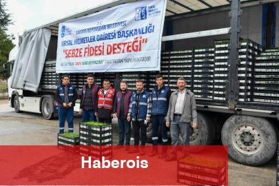 Ankara'da 1 milyonun üzerinde erkenci zerzevat fidesi dağıtıldı
