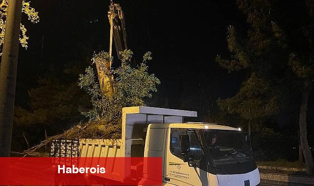 Aydın Büyükşehir Belediyesi'nden Şiddetli Yağış ve Fırtınaya Karşı Hızlı Müdahale