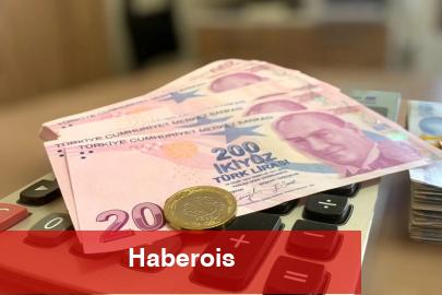 Birinci ödemeler Mayıs'ta annelerin hesabında