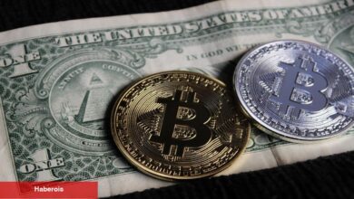 BlackRock CEO’sundan Bitcoin İletisi: ABD Doları, Statüsünü BTC’ye Kaybedebilir!