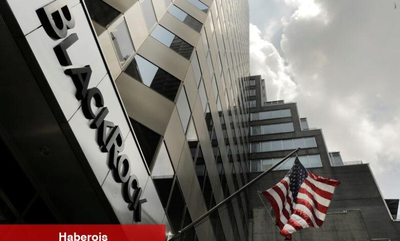 BlackRock’un ilk çeyrekte varlıkları beklentilerin altında, kârı ise üzerinde - Haberois BlackRock’un ilk çeyrekte varlıkları beklentilerin altında, kârı ise üzerinde