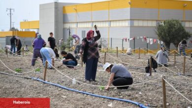Bornova'da toprakta dayanışma, sofralarda umut