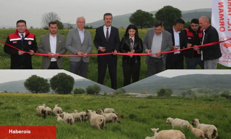 Bursa’da mera ıslahıyla hayvancılık güçleniyor - Haberois Bursa’da mera ıslahıyla hayvancılık güçleniyor