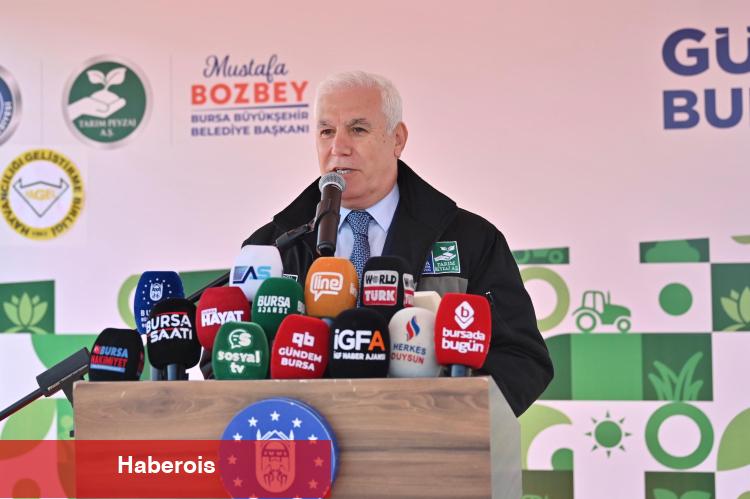 Bursa'dan çiftçiye 1,2 milyon adet çilek fidesi - Haberois Bursa'dan çiftçiye 1,2 milyon adet çilek fidesi