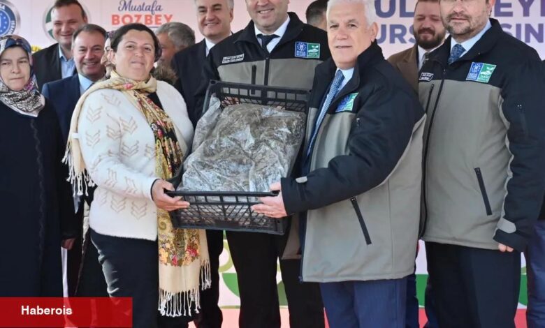 Bursa'dan çiftçiye 1,2 milyon adet çilek fidesi - Haberois Bursa'dan çiftçiye 1,2 milyon adet çilek fidesi