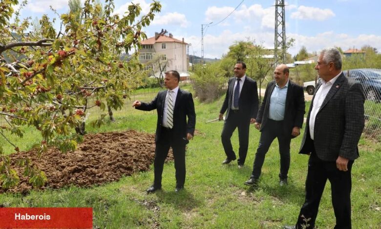 Bursa'dan 'zirai don' mağduru çiftçiye destek - Haberois Bursa'dan 'zirai don' mağduru çiftçiye destek