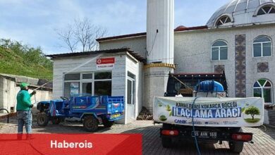 Canik'te Kokarca Böceğiyle Mücadeleye Tam Not - Haberois Canik'te Kokarca Böceğiyle Mücadeleye Tam Not