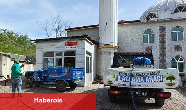 Canik'te Kokarca Böceğiyle Mücadeleye Tam Not - Haberois Canik'te Kokarca Böceğiyle Mücadeleye Tam Not