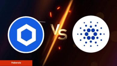 Cardano ve Chainlink Balinalarından Yatırımcıyı Huzursuz Eden Atak