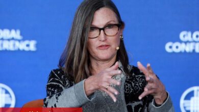 Cathie Wood, Trump’ın ’şok terapi’ tarife politikasında potansiyel faydalar görüyor - Haberois Cathie Wood, Trump’ın ’şok terapi’ tarife politikasında potansiyel faydalar görüyor