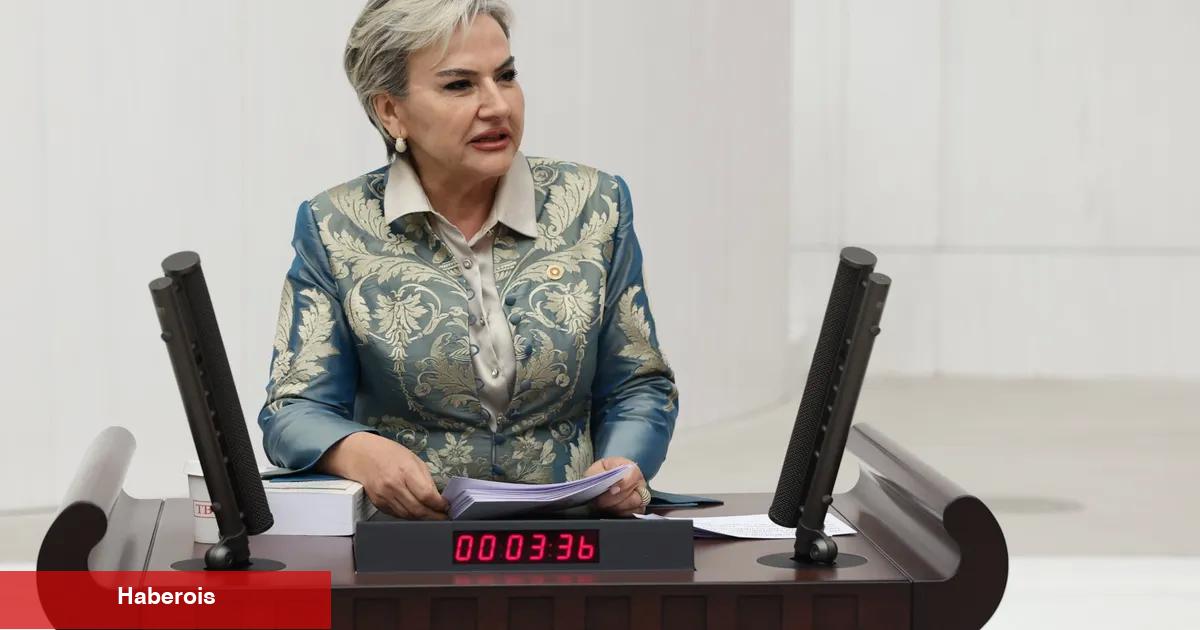 CHP'li Özdemir'den Bakan Memişoğlu'na 'medikal estetik' soruları