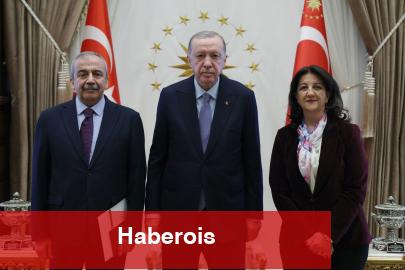 Cumhurbaşkanı Erdoğan, DEM heyetini kabul etti - Haberois Cumhurbaşkanı Erdoğan, DEM heyetini kabul etti