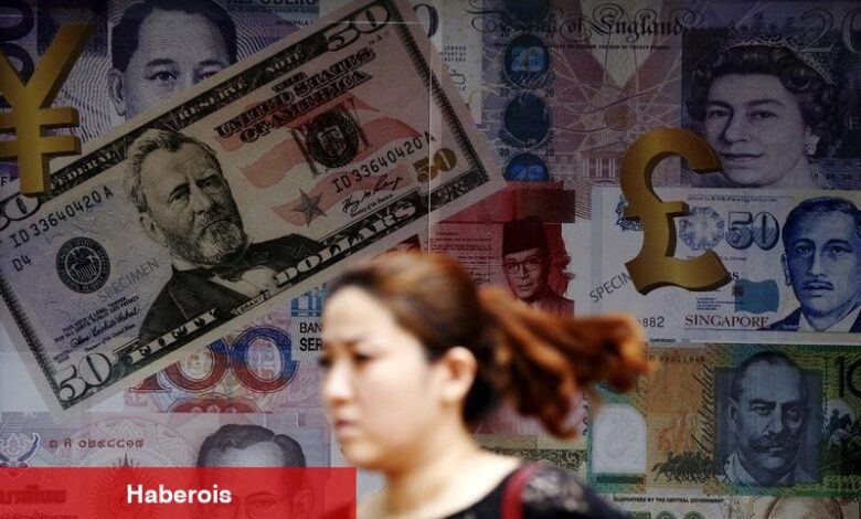 Döviz mevduatı arttı, fonların portföyü azaldı - Haberois Döviz mevduatı arttı, fonların portföyü azaldı