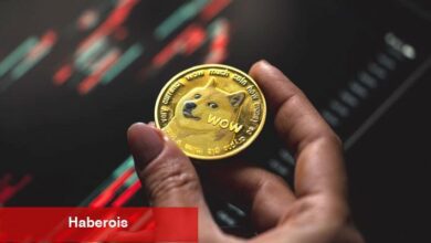 Elon Musk ve Takımı D.O.G.E Projesinden Ayrılabilir: Fakat, Dogecoin Sağlam Duruyor!