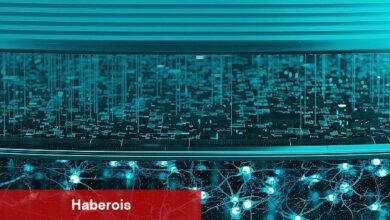 ESET fidye yazılım çetesi RansomHub'ı tüm detayları ile inceledi - Haberois  ESET fidye yazılım çetesi RansomHub'ı tüm detayları ile inceledi